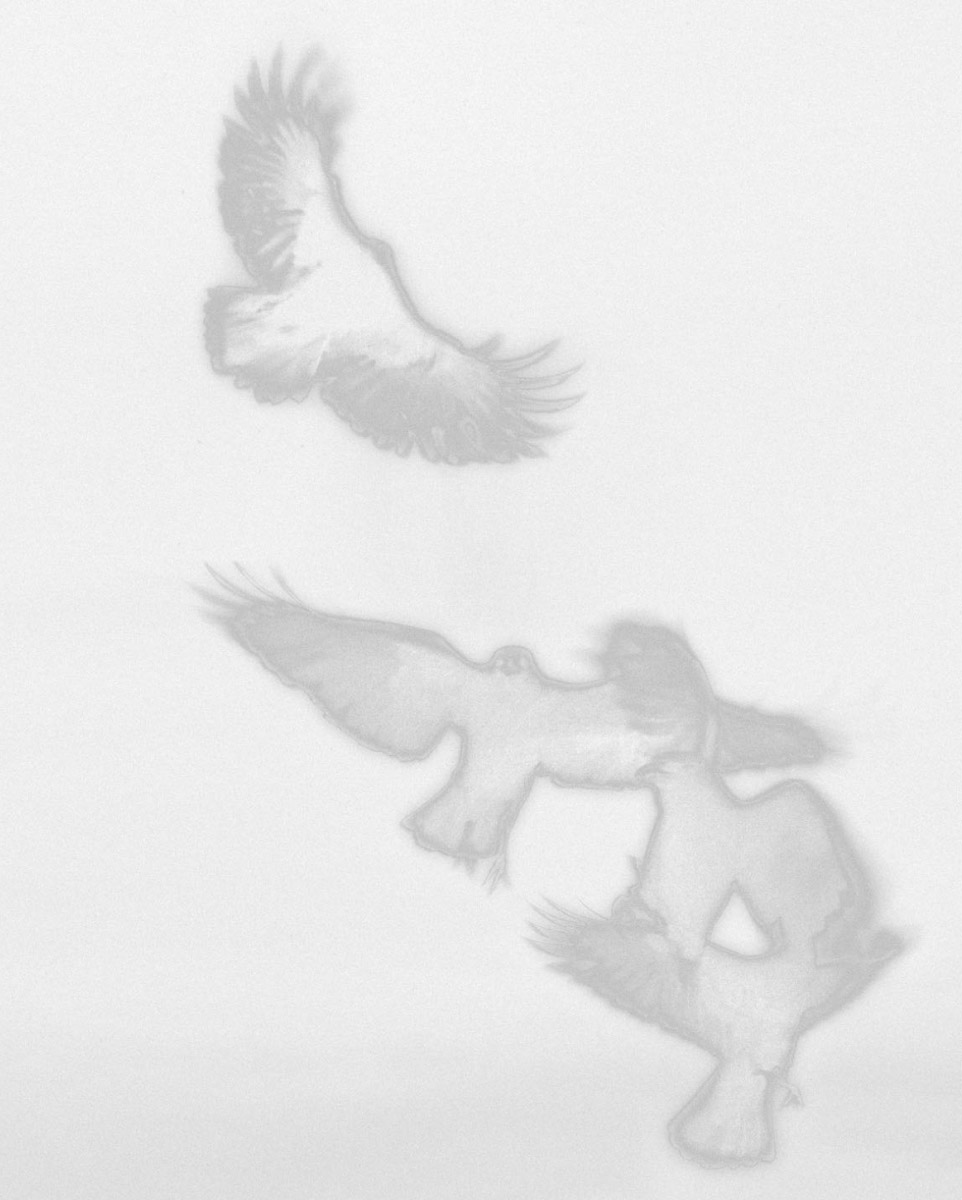 Screenshot-2023-05-22-at-1.25.27-PM-1