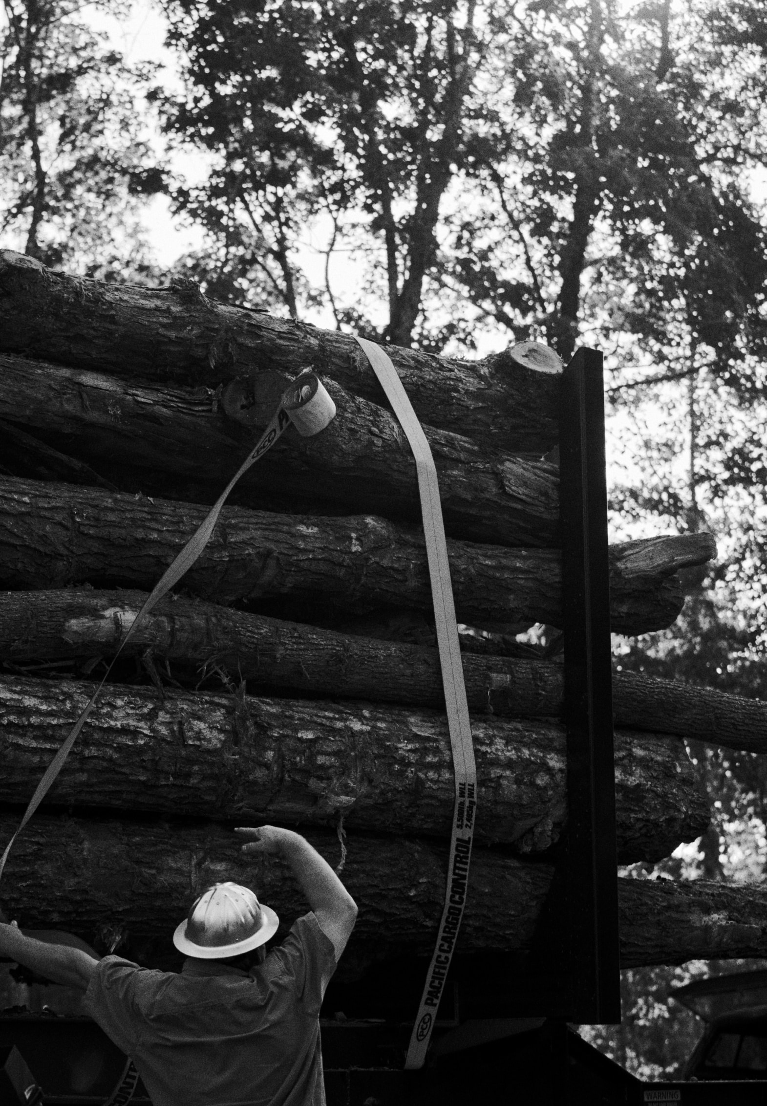 Clarity_App_Hardwoods_23641 1