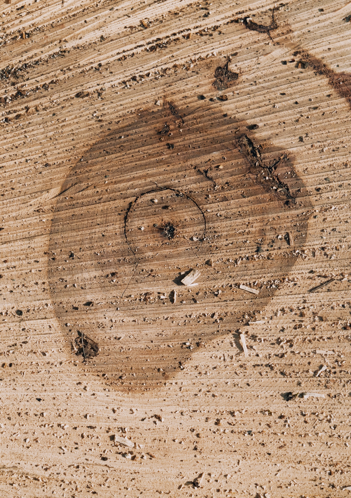 Clarity_App_Hardwoods_2777 1