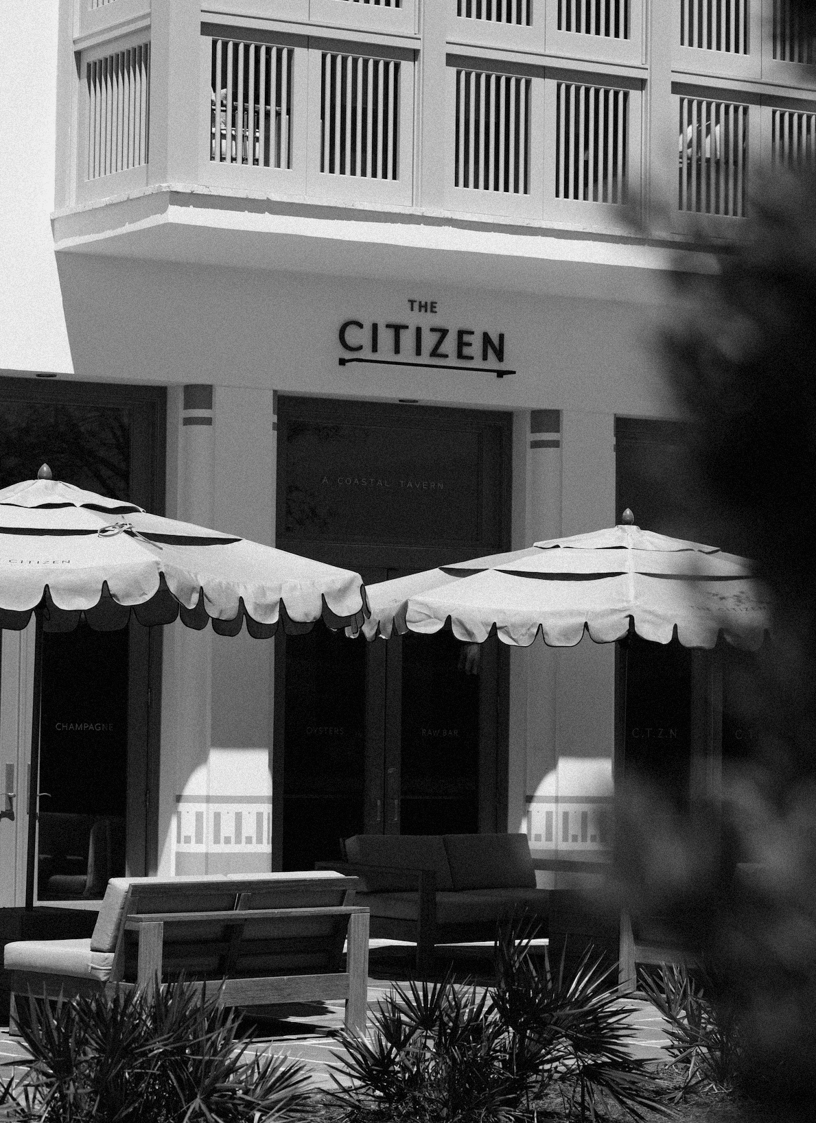 Screen+Shot+2024-01-05+at+4.58.56+PM