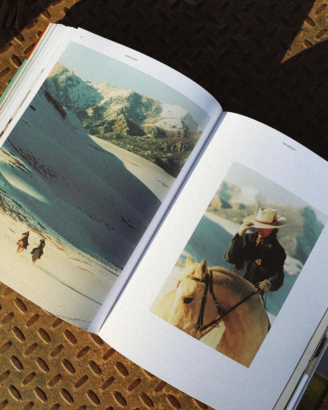 Snapinsta.app_460196184_18462231535033802_6705940714508361764_n_1080