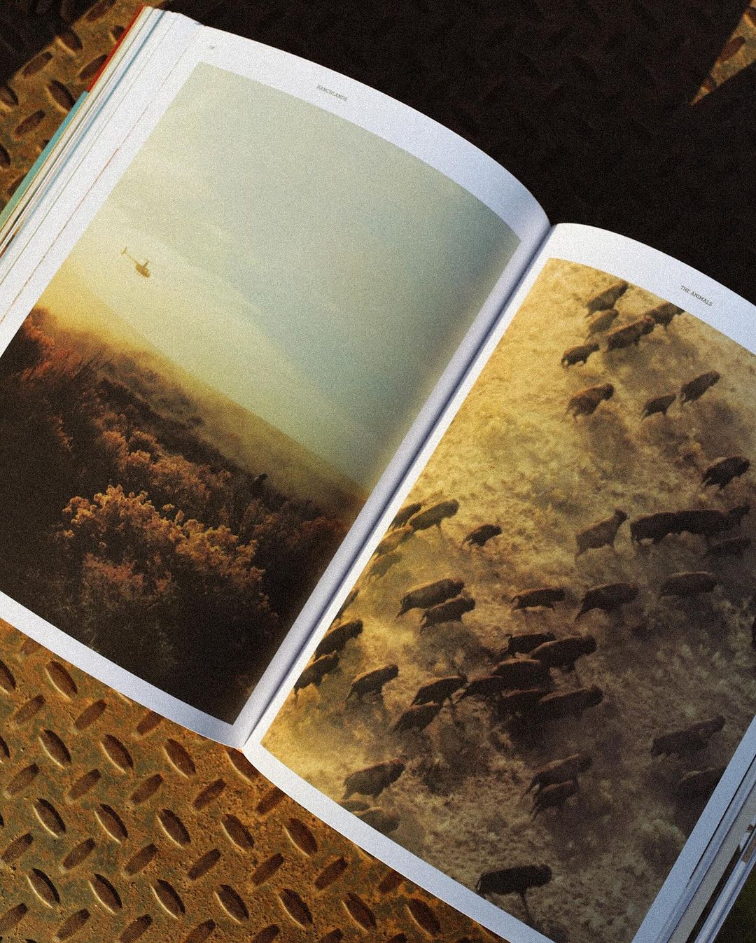 Snapinsta.app_460483963_18462231565033802_2020028179781124590_n_1080