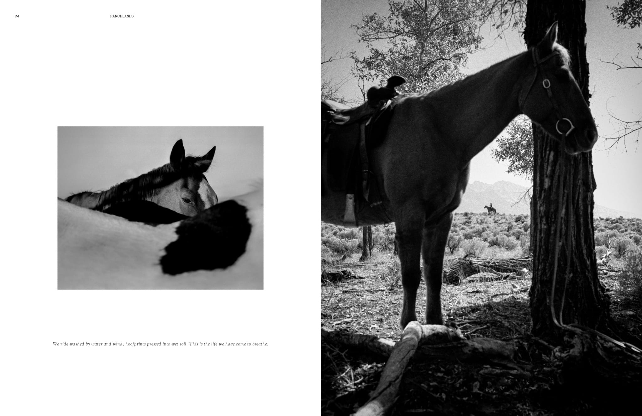 ranchlands_press_Page_078