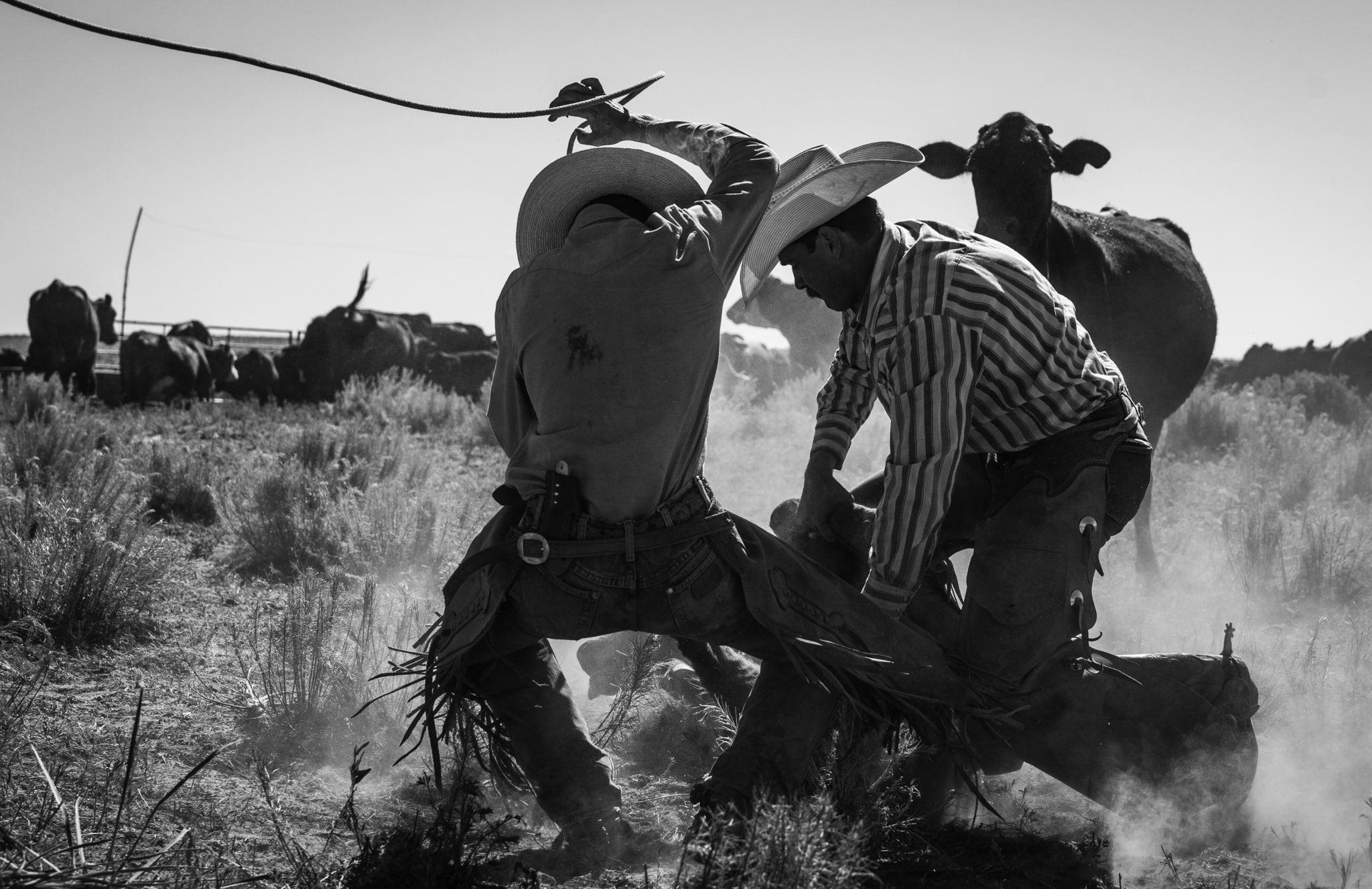 ranchlands_press_Page_096