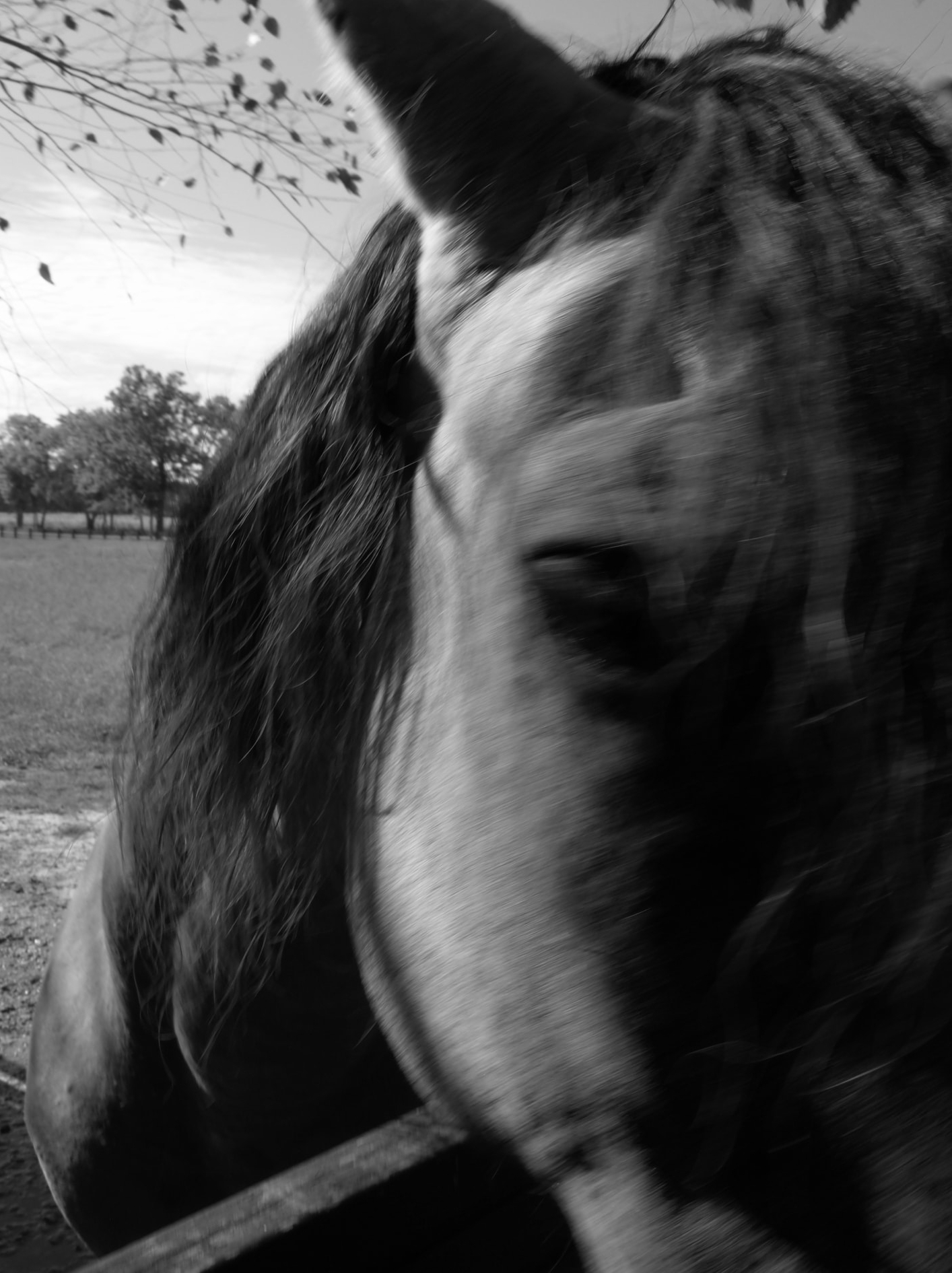 Screenshot 2023-06-20 at 3.27